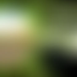 Les défis de la suroptimisation en ligne pour les Vignerons