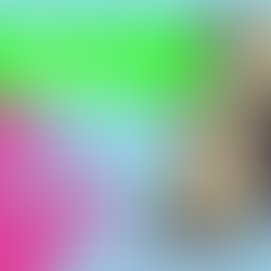 4 erreurs courantes des sites web viticoles lors de leur optimisation SEO