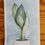 Thumbnail: Snake Plant Light Green Watercolour