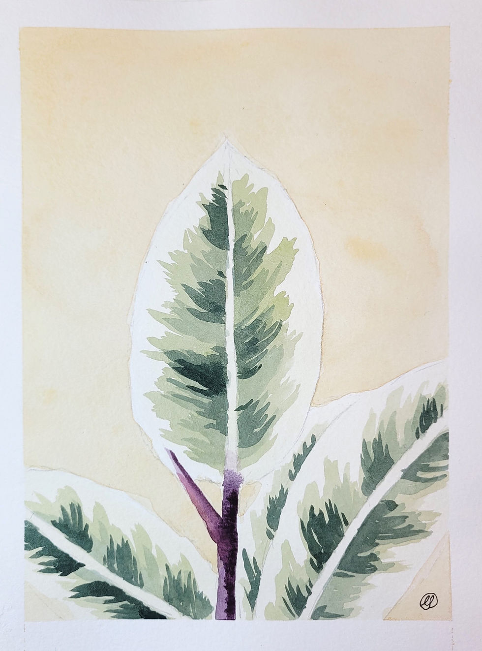 Thumbnail: Yellow Rubber Plant Watercolour