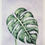 Thumbnail: Purple Monstera Watercolour