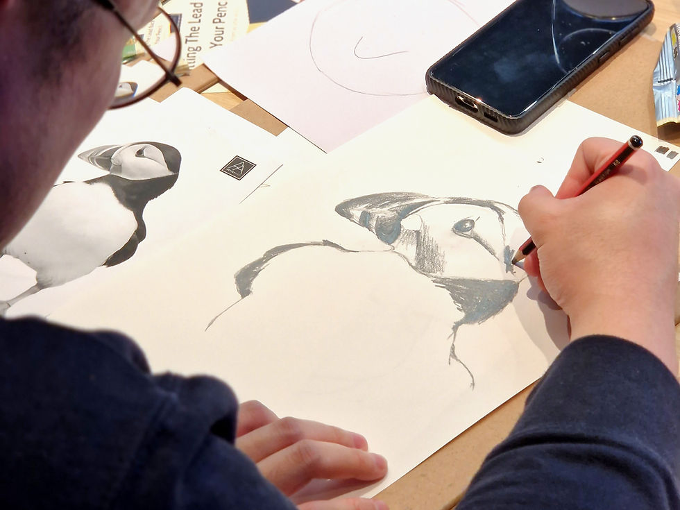 Person sketches a puffin on white paper with a red pencil at a desk, beside a phone and reference photo, focused and quiet.