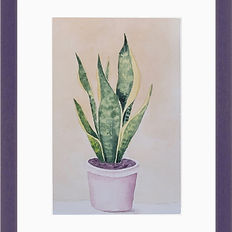 watercolour painting of house plant