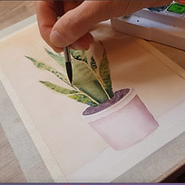 Watercolour Lessons