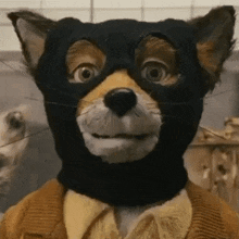 fantastic-mr-fox-jaw-drop.gif