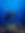 IMG_5509.PNG