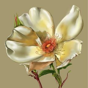 Artboard 1 copy 25White Rose.png