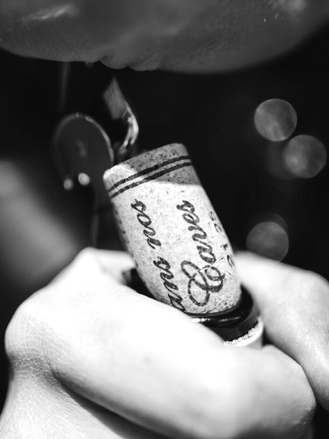 Comment conserver votre bouteille de vin une fois ouverte ?