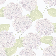 hyped for hydrangeas_edited.png