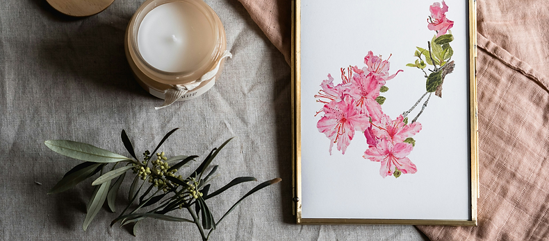 Azaleas on pink blanket.png