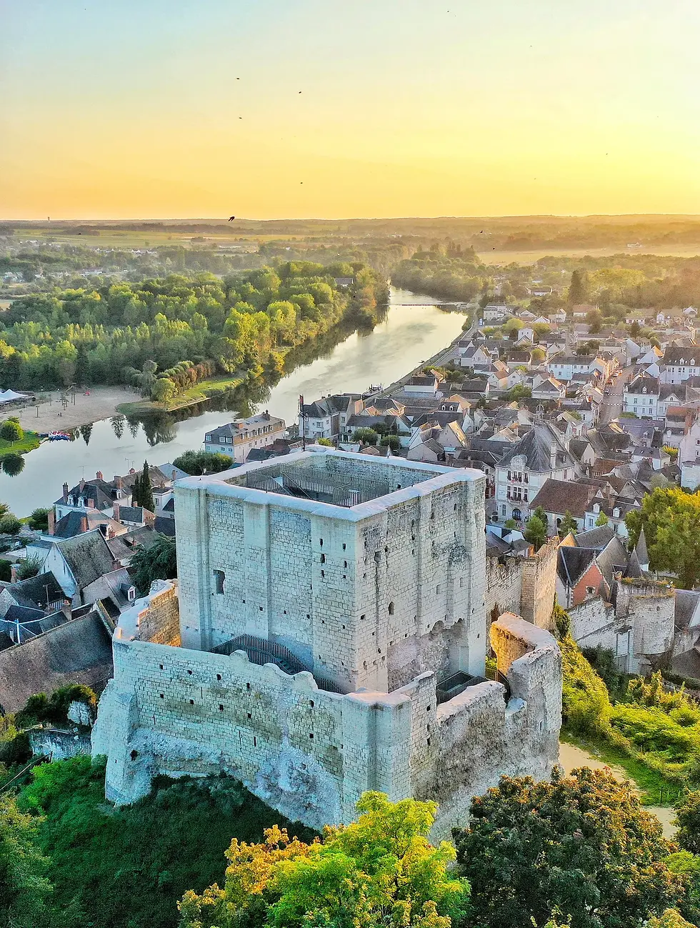 Donjon de Montrichard