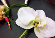 Boutonniere