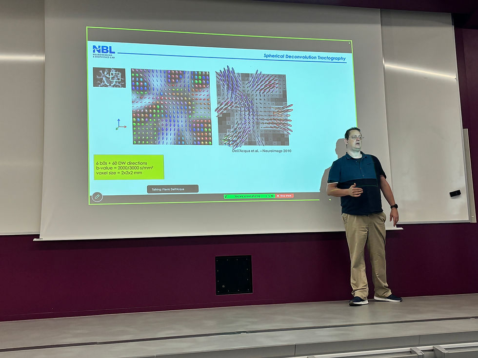 NEURAL20206 Emergent Properties of the Connected Brain