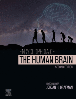 THE HUMAN BRAIN.gif