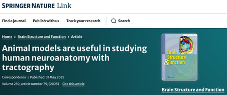 Can animal models help us map the human brain? 🧠🐒