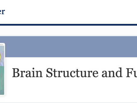 Board of Associate Editors for Brain Structure & Function