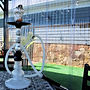 IMG-20250715-WA0012.jpg