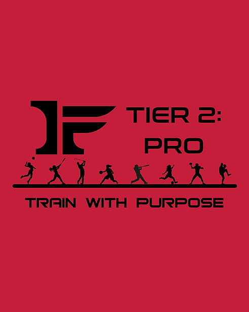 TIER 2 (Instagram Post (45)).png