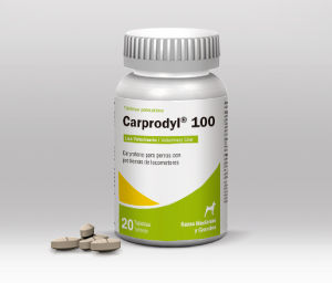 CARPRODYL 100