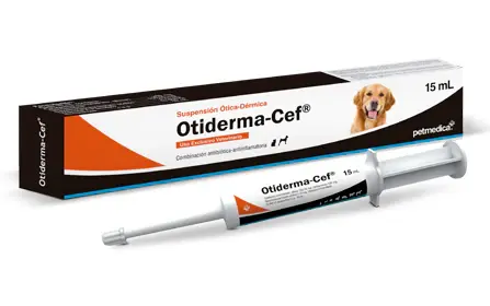 OTIDERMA-CEF