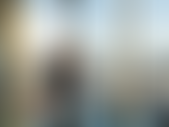 Manager reviews company paperwork in Swiss office