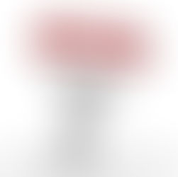 Bank Holiday classes