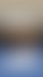 wednesday kickboxers