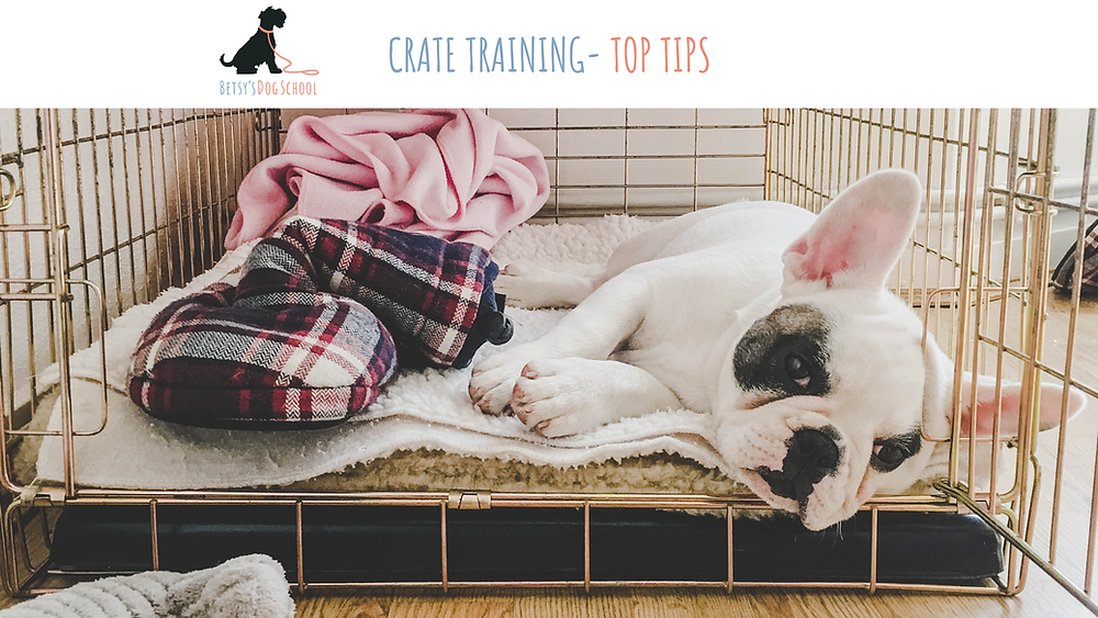 PUPPY CRATE TRAINING TIPS FOR SUCCESS