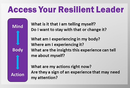 resilient leader.png