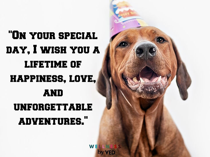 happy birthday best friend​

