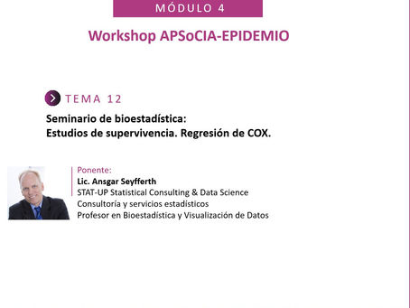 Formación estadística a medida