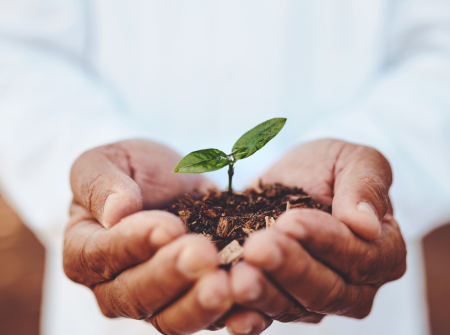 Hands gently cradle soil with a small, green plant sprout. The background is softly blurred, and the scene evokes a sense of nurturing as you are doing withyour employees.