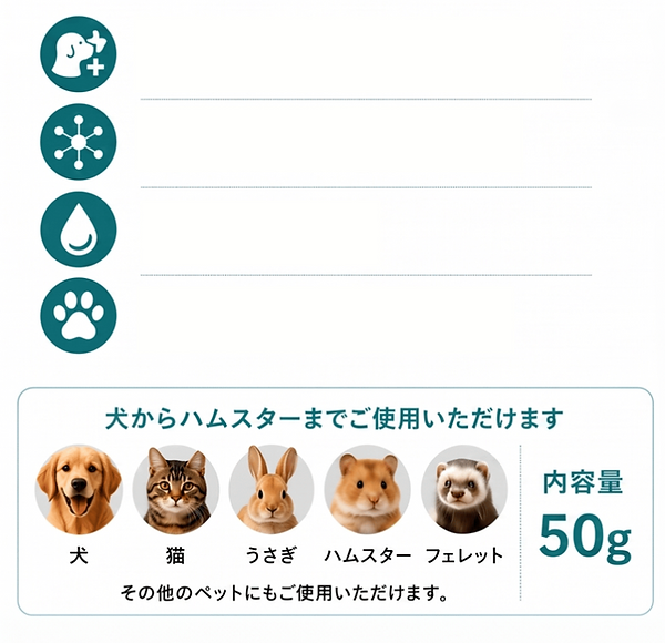 4つのポイントセクションの背景画像