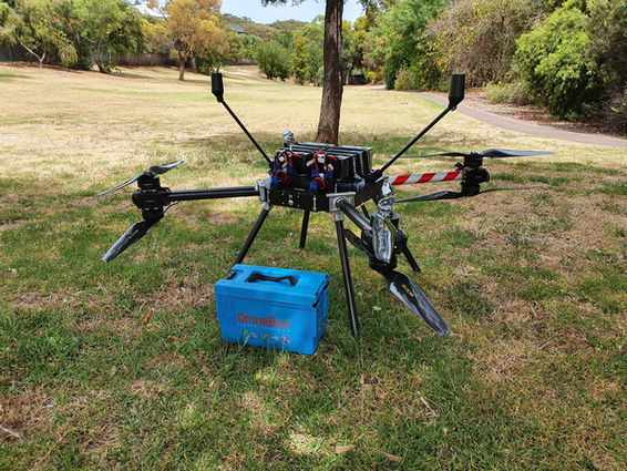 WhatsApp Image 2022-01-10 at 09.31.51.jpeg