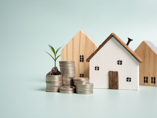 Idee für Wachstum durch Investitionen in Pflanzen und Münzen