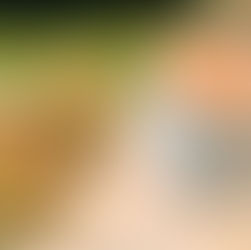 Pistazien Shortbread