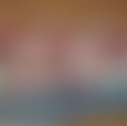 Panna Cotta mit Himbeer Coulis