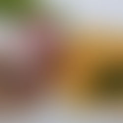 Schweinefilet im Speckmantel