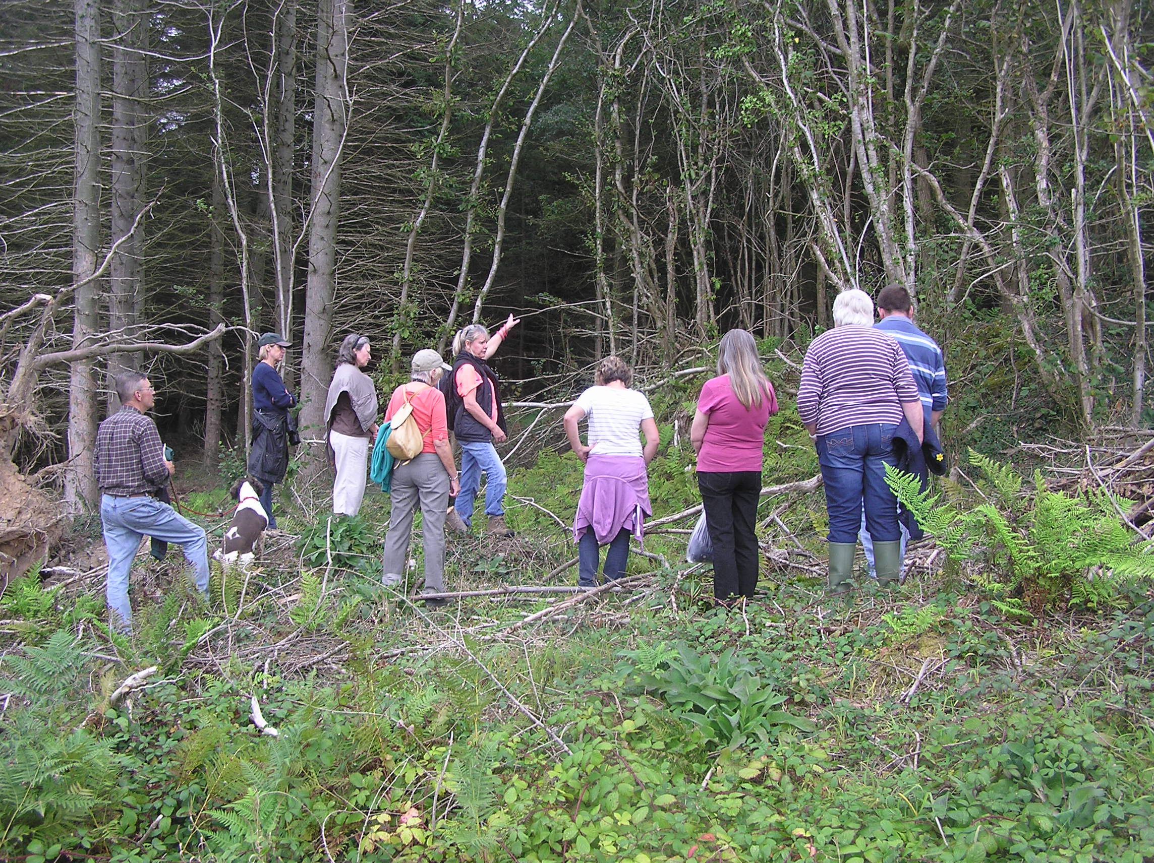 Public walk Sept 14