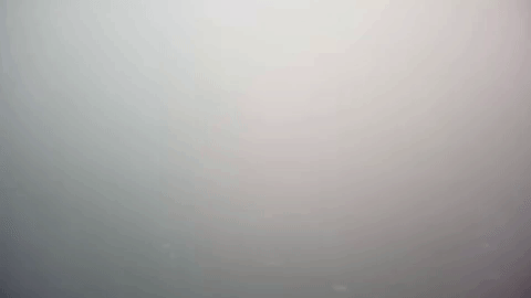 7a12.gif