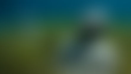 
Nouvelle Lune en Cancer : Le rassemblement des âmes