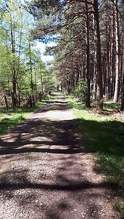 20190423_131744B.jpg