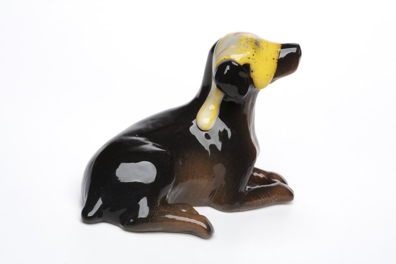 Dog, 2010