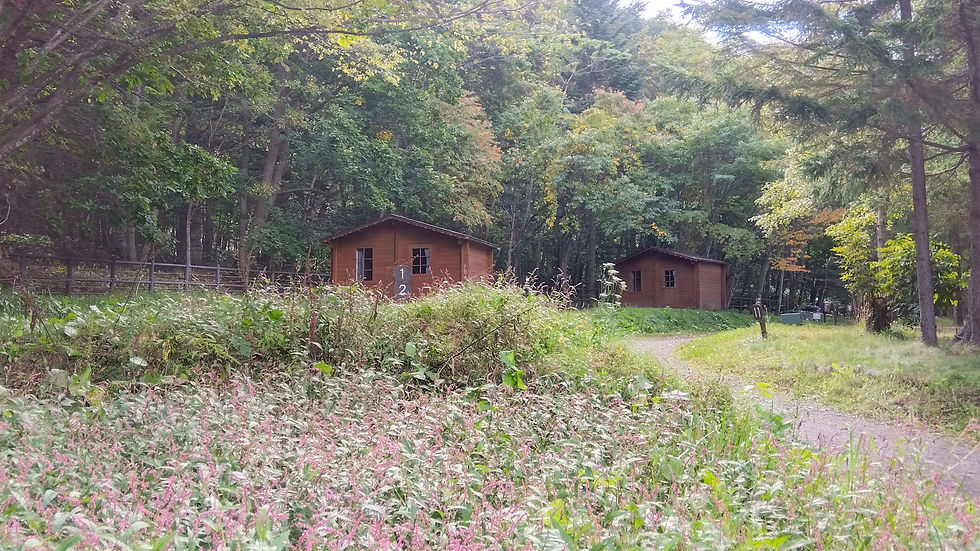 9/28-19/1宿泊瞑想実践会終わりました