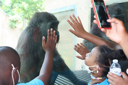 Philadelphia Zoo Trip (Summer Camp)