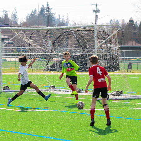 TIME UPDATE! 6:00 PM | MSC Annual General Meeting Wednesday Feb 16th  | McMinnville Community Center