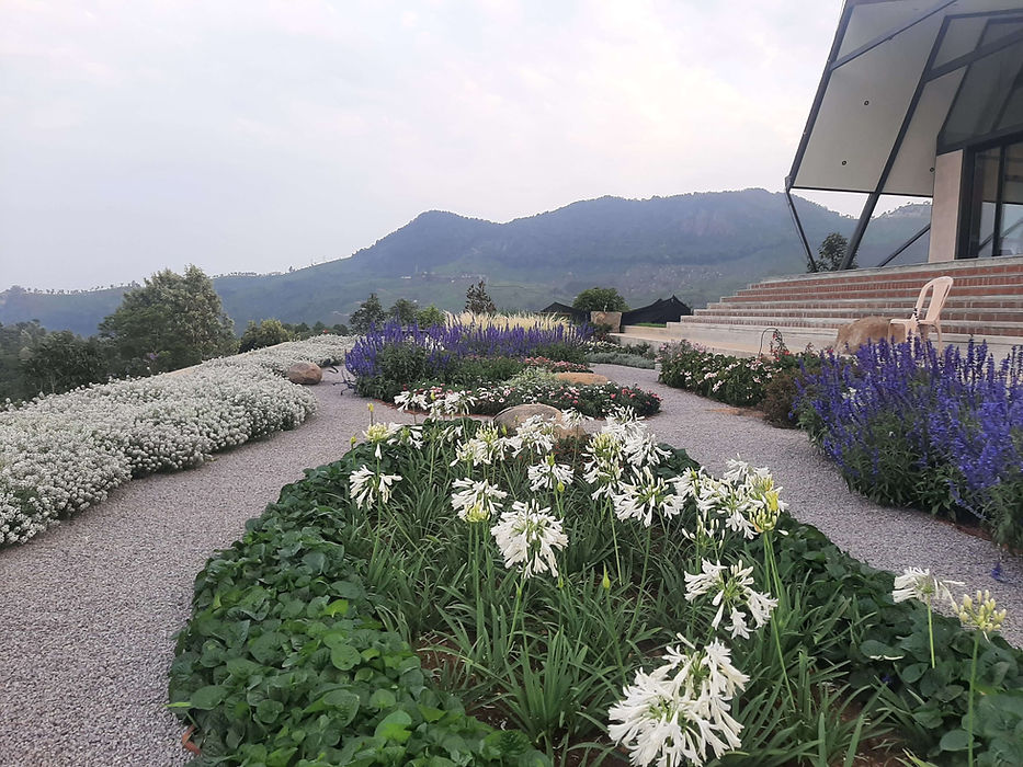 Flower fields and lanscape design by Blue Mountain Lanndscape