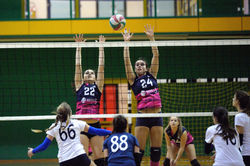 U16_2017_18_039 - Copia