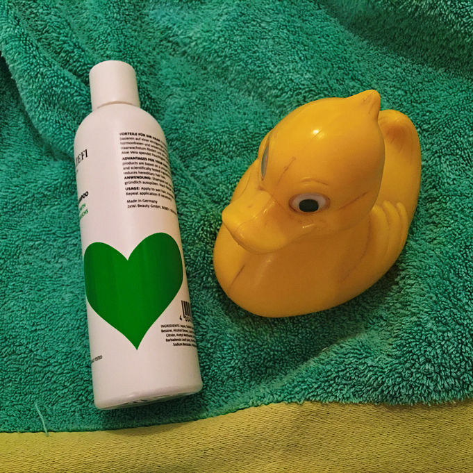 Ente mit Herz