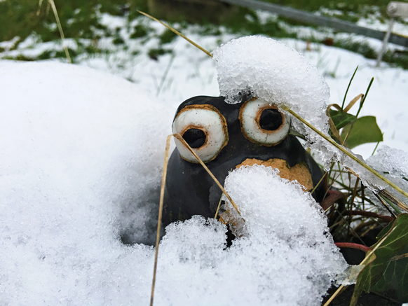 Wintereinbruch